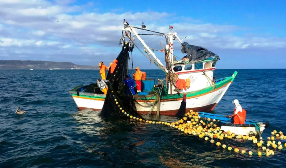 Fenómeno El Niño: Produce dispone medidas para reforzar respuesta en pesca y acuicultura
